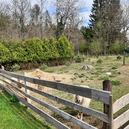 Orsegi Kistuecsoek Vendeghaz Holiday home