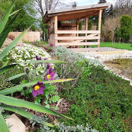 Holiday home Orsegi Kistuecsoek Vendeghaz *